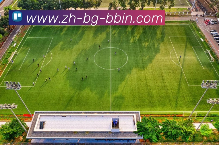 App Interface Preview